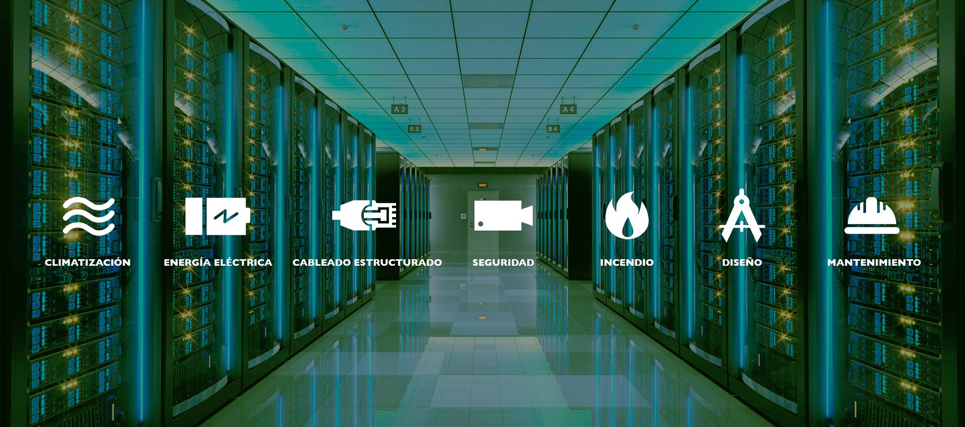 IT ADVISER